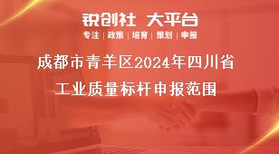成都市青羊區(qū)2024年四川省工業(yè)質(zhì)量標(biāo)桿申報(bào)范圍獎(jiǎng)補(bǔ)政策
