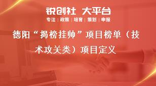 德陽“揭榜掛帥”項目榜單（技術攻關類）項目定義獎補政策