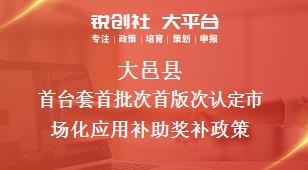 大邑縣首臺(tái)套首批次首版次認(rèn)定市場(chǎng)化應(yīng)用補(bǔ)助相關(guān)配套獎(jiǎng)補(bǔ)政策