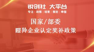 國家/部委瞪羚企業認定獎補政策