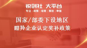國家/部委下設地區瞪羚企業認定獎補政策