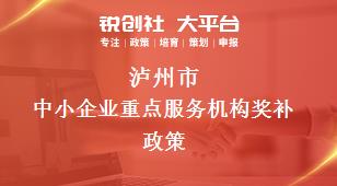 瀘州市中小企業重點服務機構相關配套獎補政策