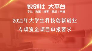 2021年大學(xué)生科技創(chuàng)新創(chuàng)業(yè)專(zhuān)項(xiàng)資金項(xiàng)目申報(bào)要求獎(jiǎng)補(bǔ)政策