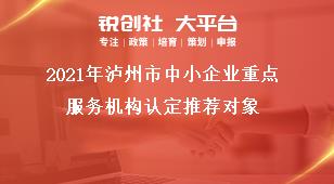 2021年瀘州市中小企業重點服務機構認定推薦對象獎補政策
