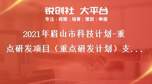 2021年眉山市科技計劃-重點研發項目（重點研發計劃）支持范圍獎補政策