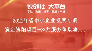 2021年省中小企業發展專項資金資陽項目-公共服務體系建設申報條件獎補政策