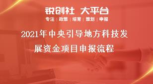 2021年中央引導地方科技發展資金項目申報流程獎補政策