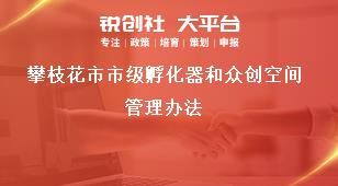 攀枝花市市級孵化器和眾創空間管理辦法獎補政策