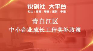 青白江區(qū)中小企業(yè)成長工程相關(guān)配套獎補(bǔ)政策