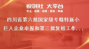 四川省第六批國家級專精特新小巨人企業(yè)申報和第三批復核工作聯系方式獎補政策
