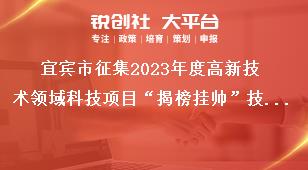 宜賓市征集2023年度高新技術(shù)領(lǐng)域科技項(xiàng)目“揭榜掛帥”技術(shù)需求有關(guān)事項(xiàng)獎補(bǔ)政策