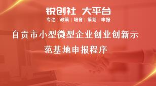 自貢市小型微型企業創業創新示范基地申報程序獎補政策